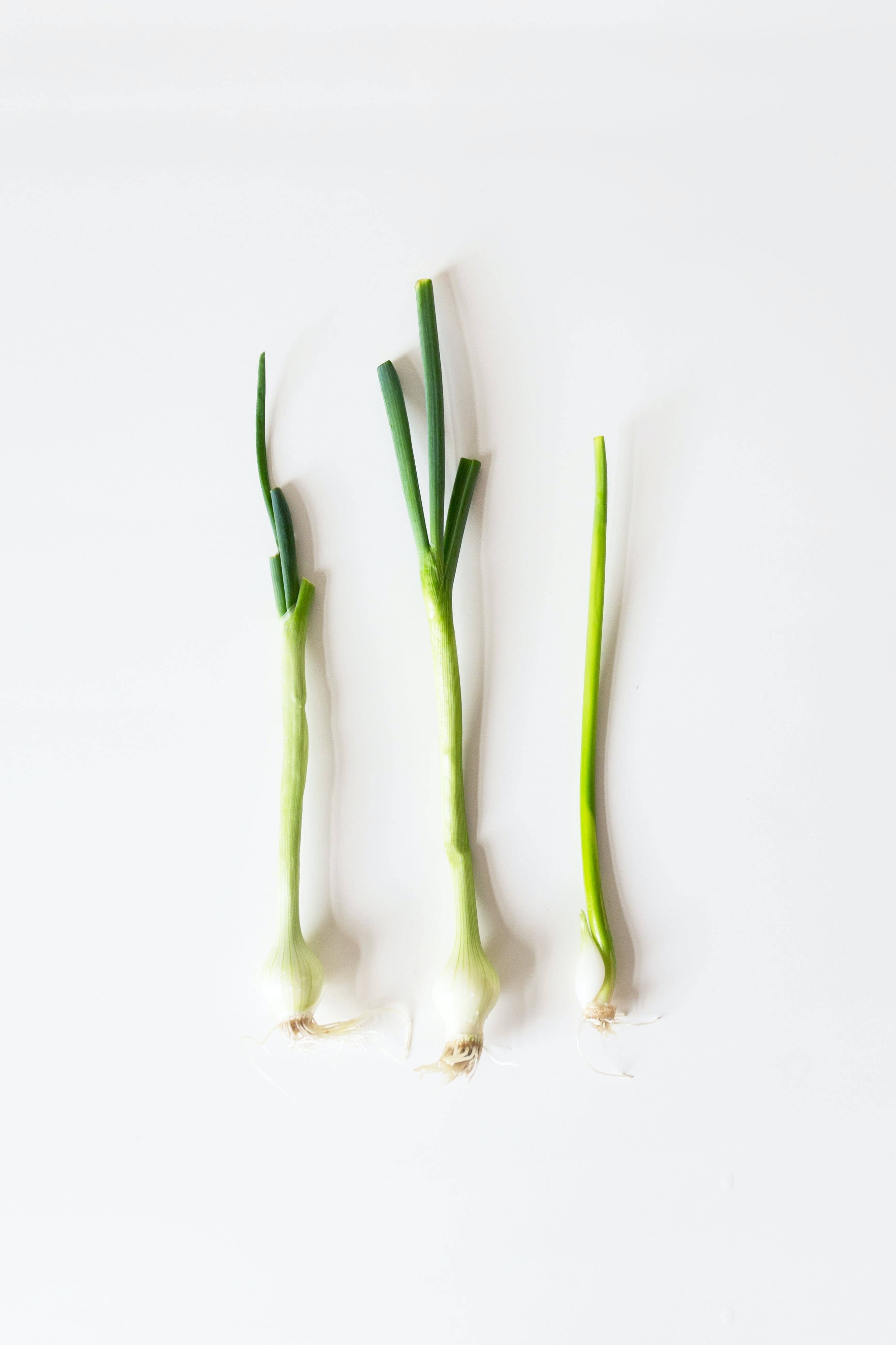 Ledgeway Farm - Wholesale Bar Soap - Lemongrass Goat Milk Soap2