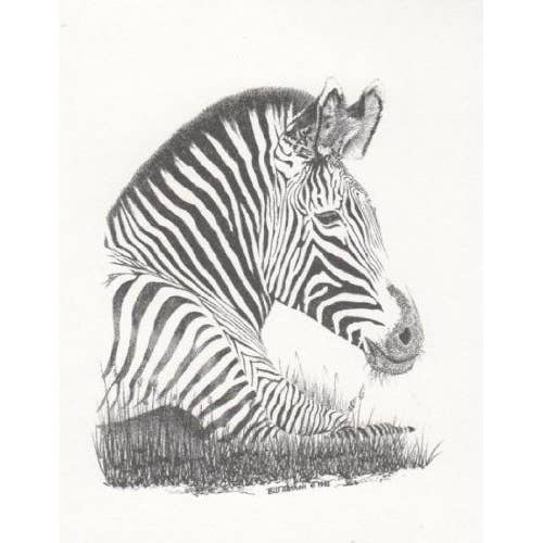 Grevy's Zebra Vildtliv Bill Harrah Portræt Indrammet Kunstkort for engroshandel hos Chesapeake Farms LLC