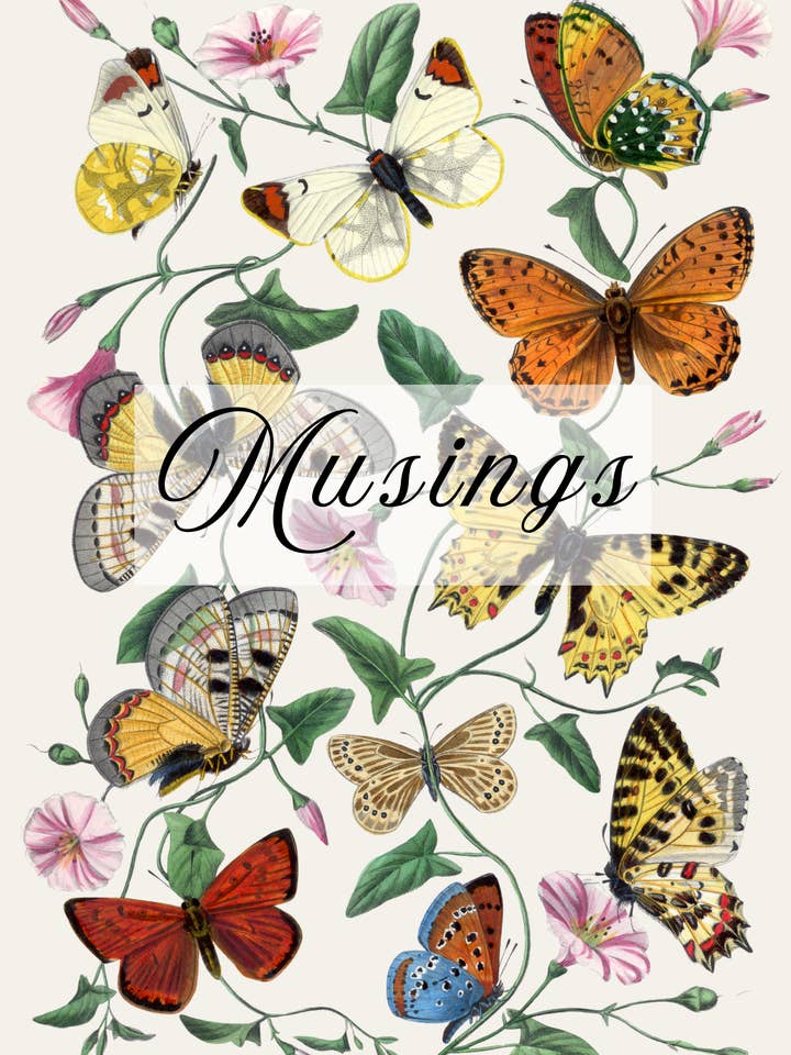 Butterflies and Moths Lined Journal for wholesale by Norfolk Paper Studio