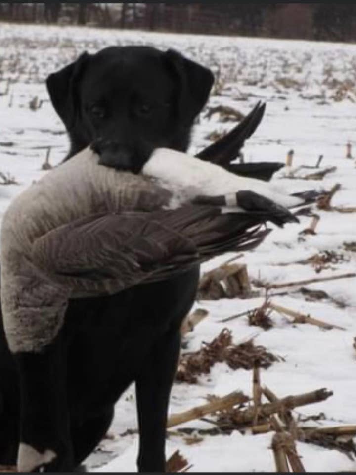 Hurricane Marsh Outfitters - Wholesale Screen Printed T-Shirt - Men's - The Good Boy T-Shirt2