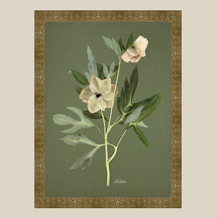 The Fleur De Lis House – wholesale Sculpture – One-of-a-kind real pressed hellebore on green wall art2