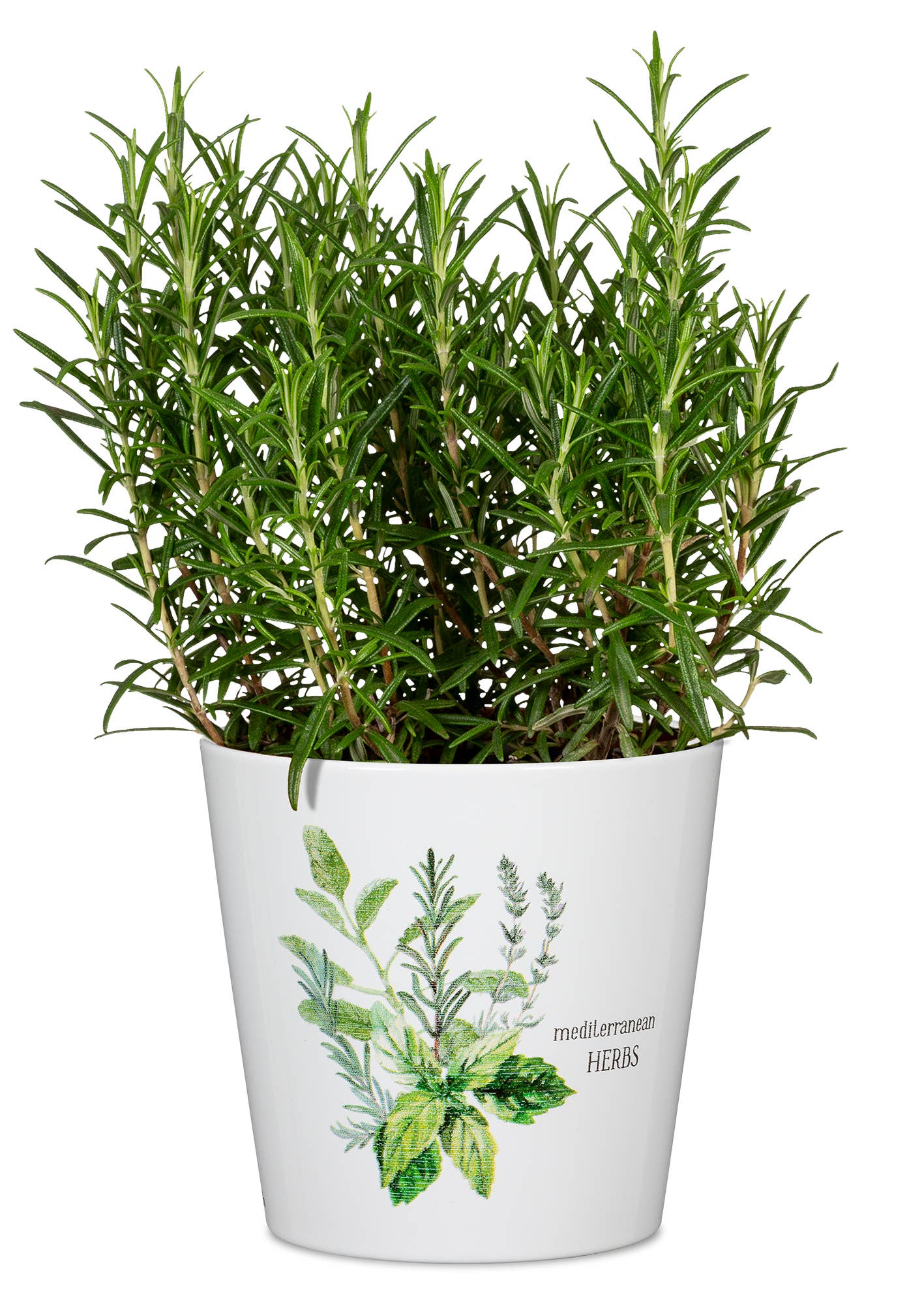 Mediterranean Flower pot/Planter 778 made of ceramic for wholesale on Faire2