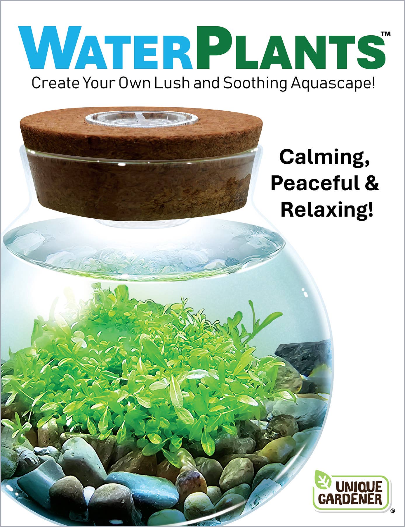 Silver Circle Products - Vente Terrariums - Kit de Semences Aquatiques WaterPlants Terrarium en Verre avec Lumière LED2