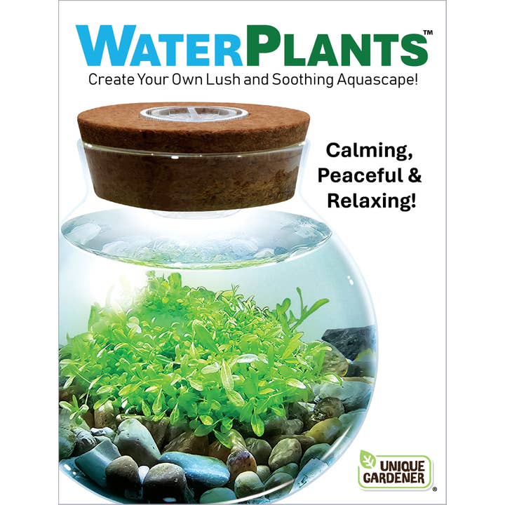 Silver Circle Products - Wholesale Terrarium - WaterPlants Aquatic Seed Kit Glass Terrarium with LED Light3