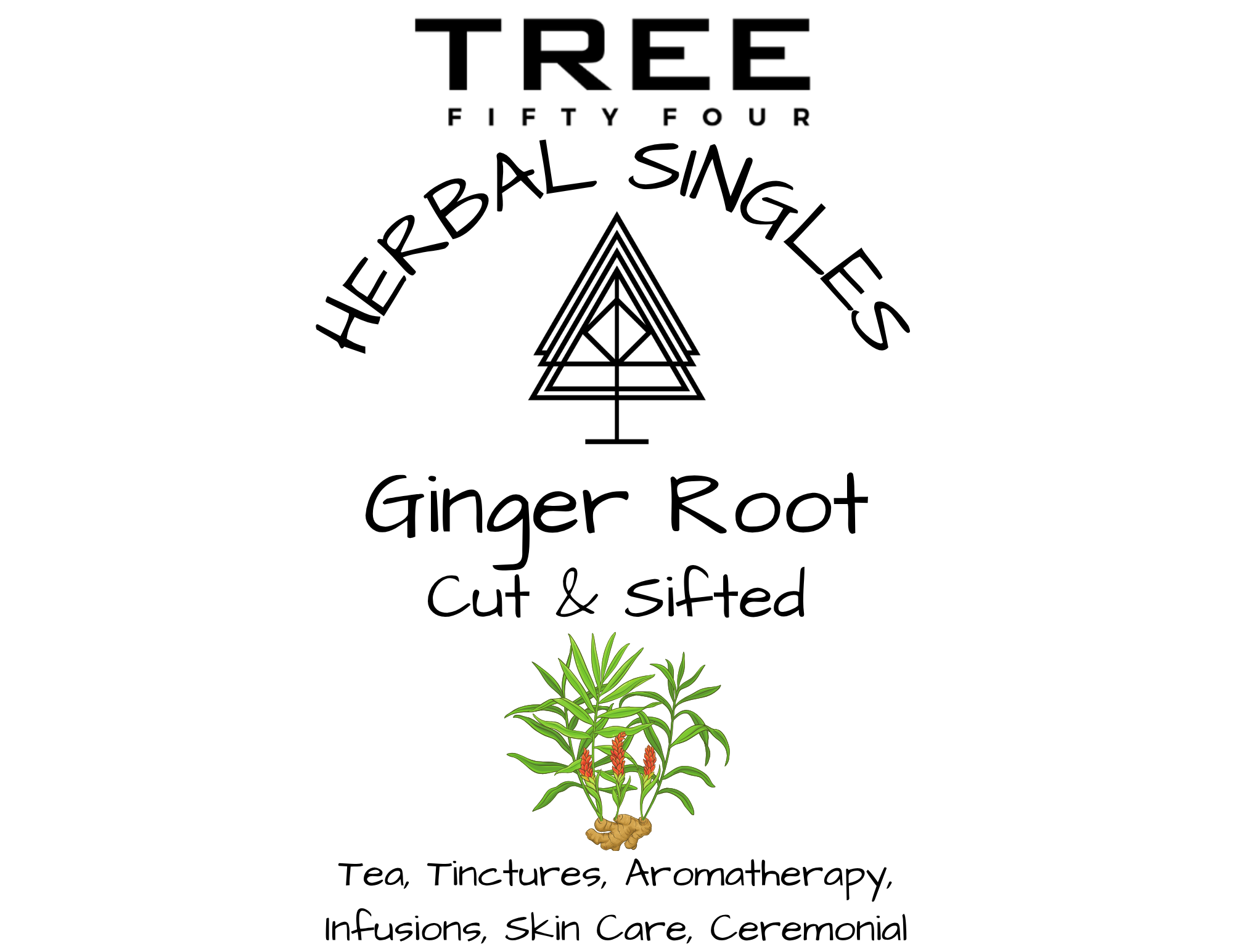 Tree Fifty Four – wholesale Herbs – Ginger Root | 2oz - 1 KG | Bulk Herbs1