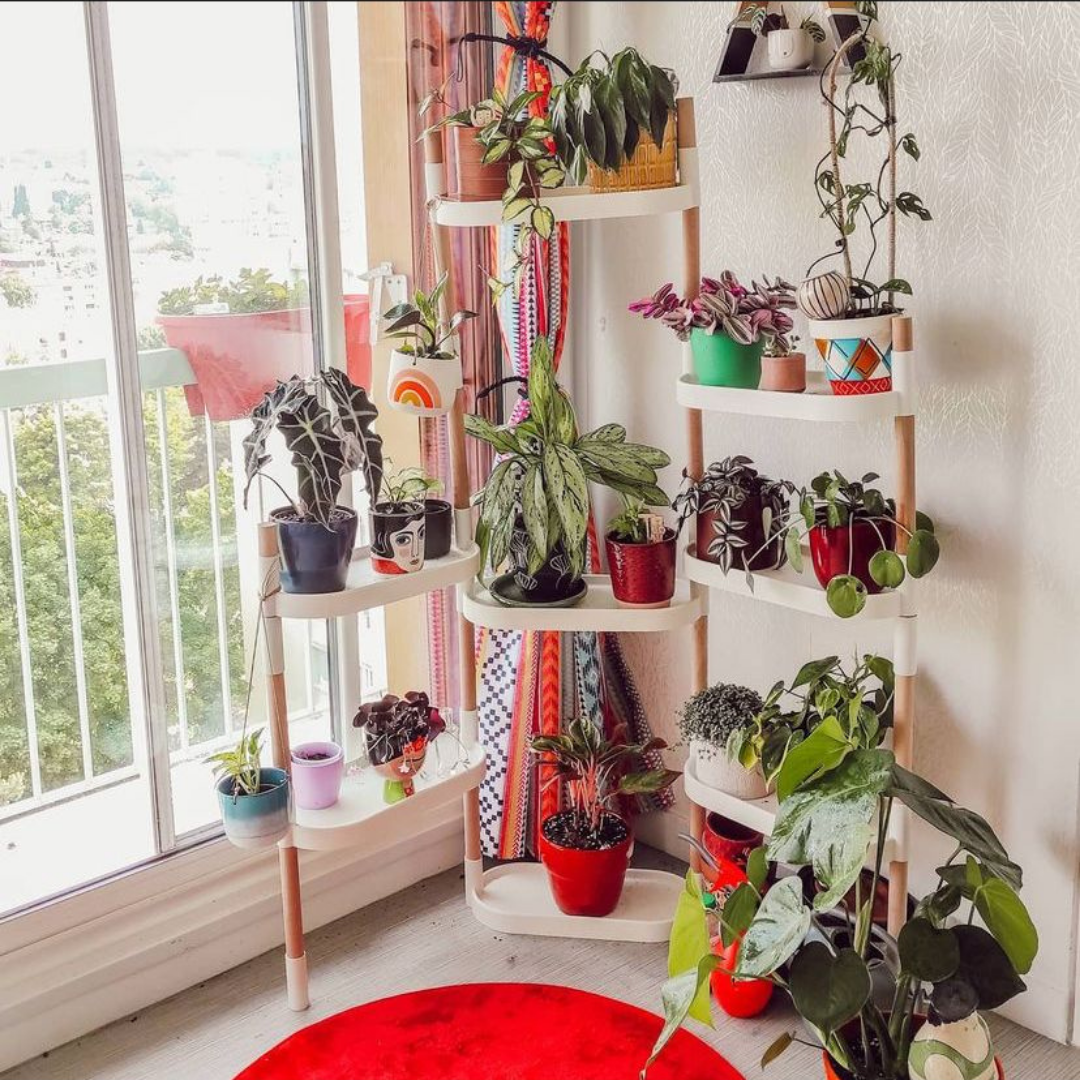 CitySens - Vendita all'ingrosso Mensole da parete - Scaffali modulari per piante CitySens7