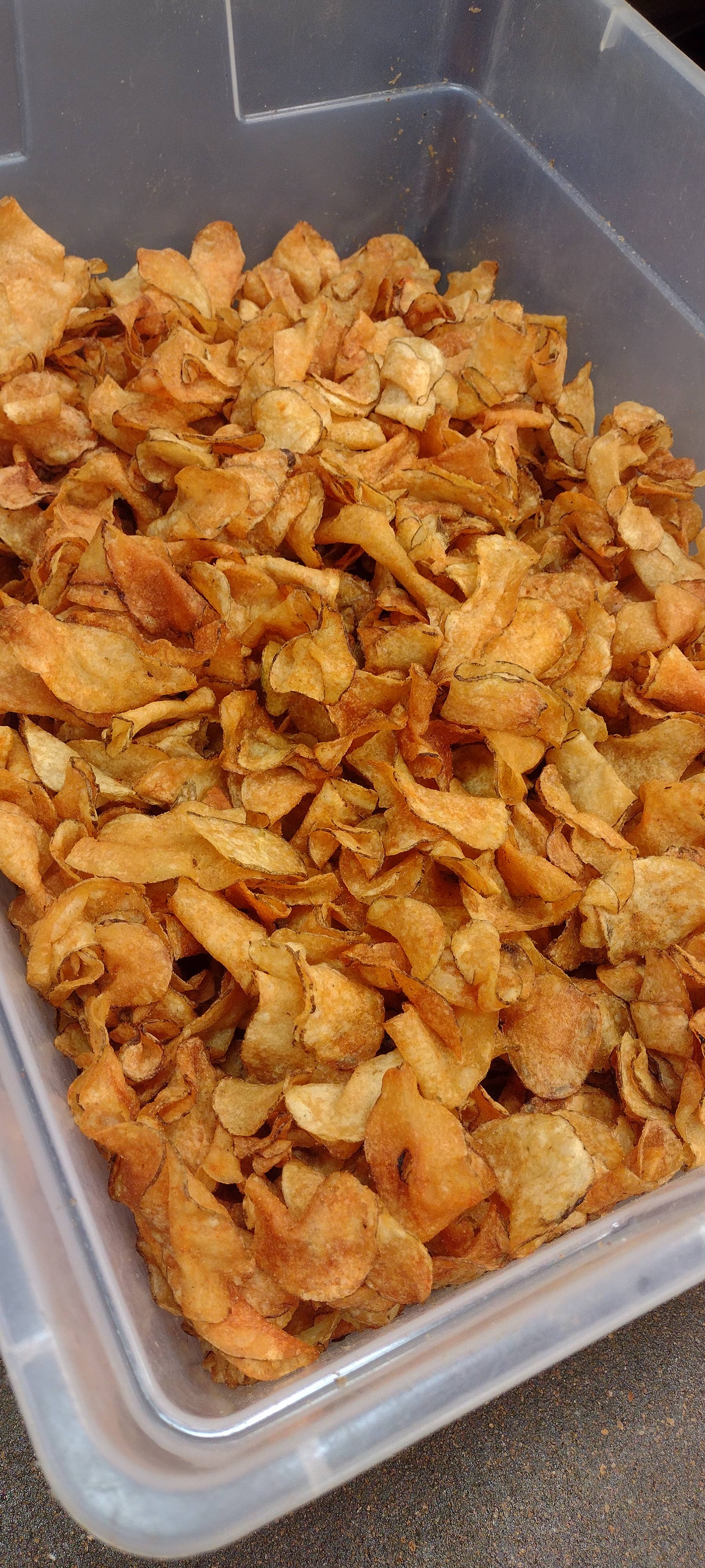 The G.O.A.T. Brand - Wholesale Chips - Original Potato Chips - 1 oz.1