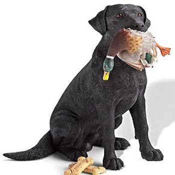 Labrador met sculptuur van wilde eend voor wholesale door Natures Window