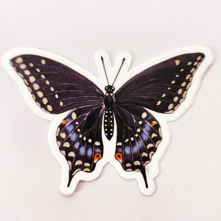 Redbriar Studio - Wholesale Sticker - Stickers