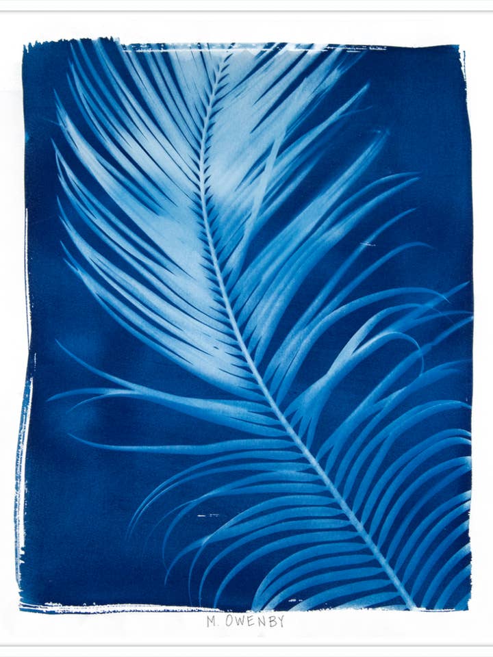 Marshall for wholesale by Gavalina