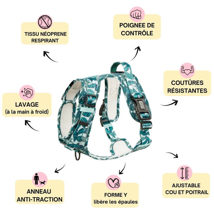 Arizona Hotdogs - Wholesale Pet Harness - Dog - Dog Grip Harness - Amazonia2