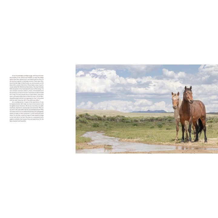 Chronicle Books - Wholesale Nature & Outdoors - Wild Horse Effect2