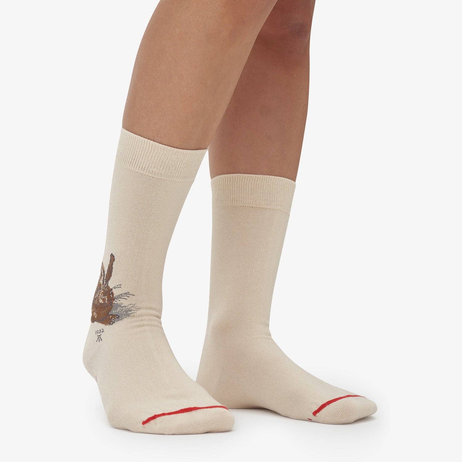 MuseARTa GmbH - Wholesale Sokken - Uniseks - Albrecht Dürer - Jonge haas2