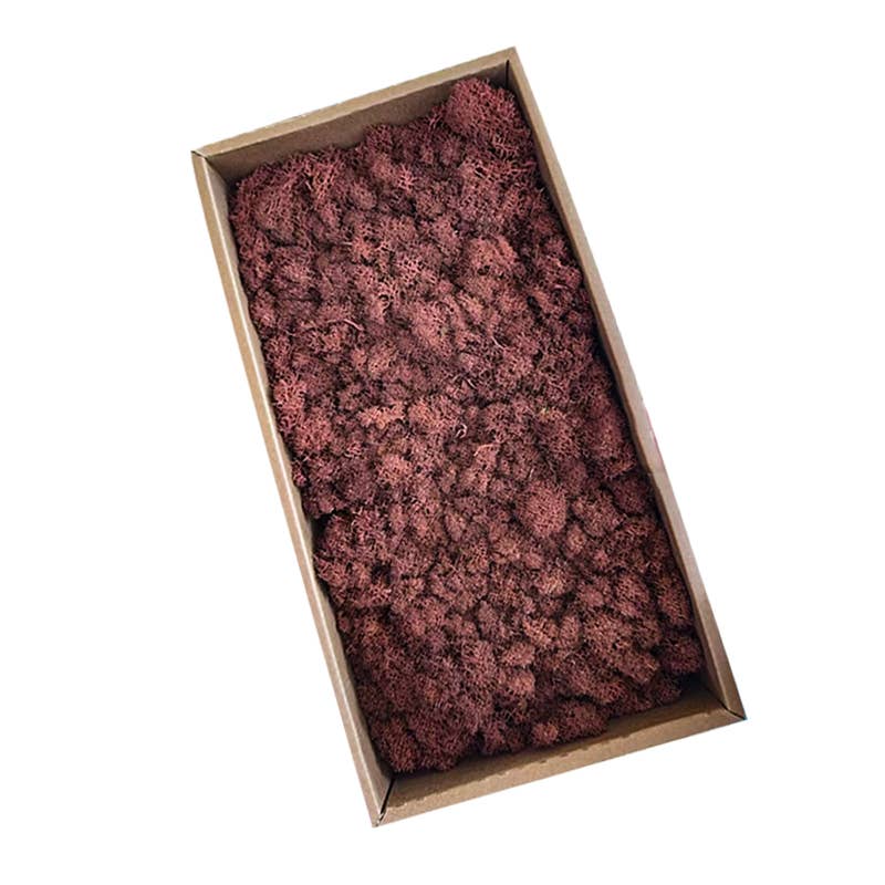 Floral Fields – wholesale Dried/pressed flowers – Preserved Moss for Crafting, 500g0