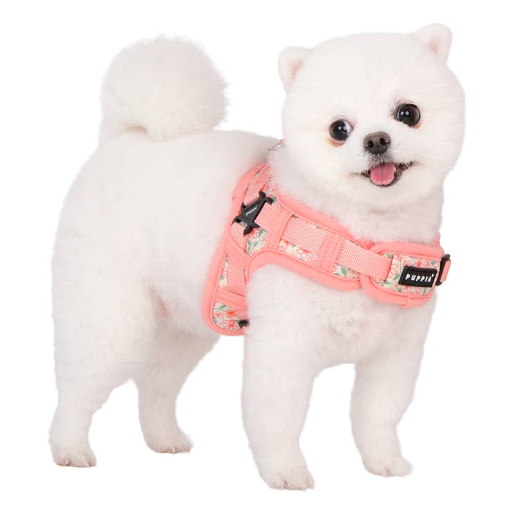 Puppia International Inc. - Wholesale Pet Harness - Dog - LILAC DOG HARNESS X ADJUSTABLE NECK & CHEST FLORAL
