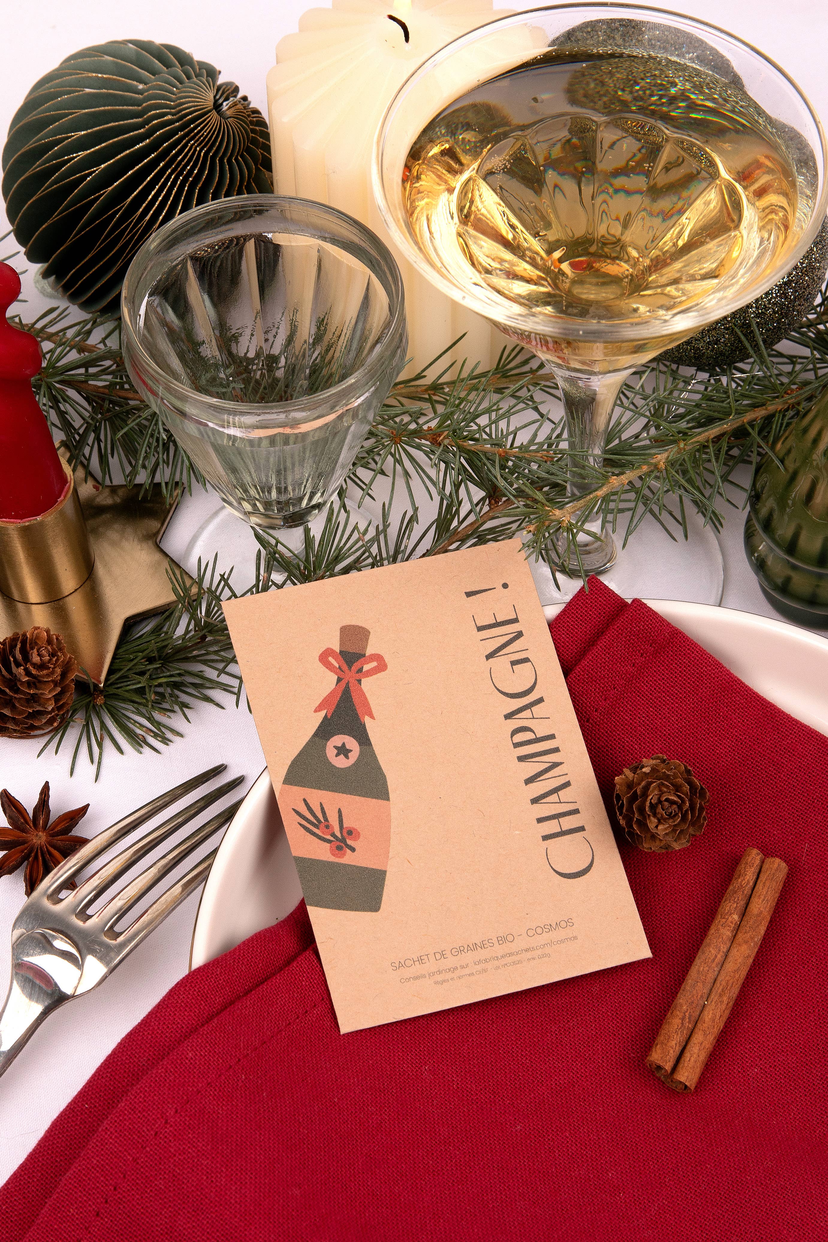 La Fabrique à Sachets - Wholesale New Year's Card - Champagne - Cosmos seed packet1
