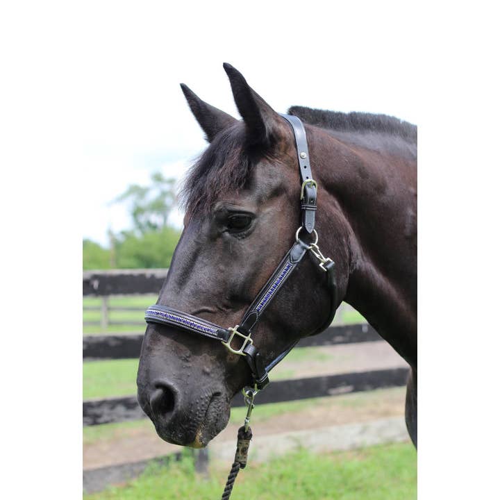 JPC Equestrian - Wholesale Horseback Riding Gear - Henri de Rivel Padded Jewel Halter - Horseback Riding Gear8