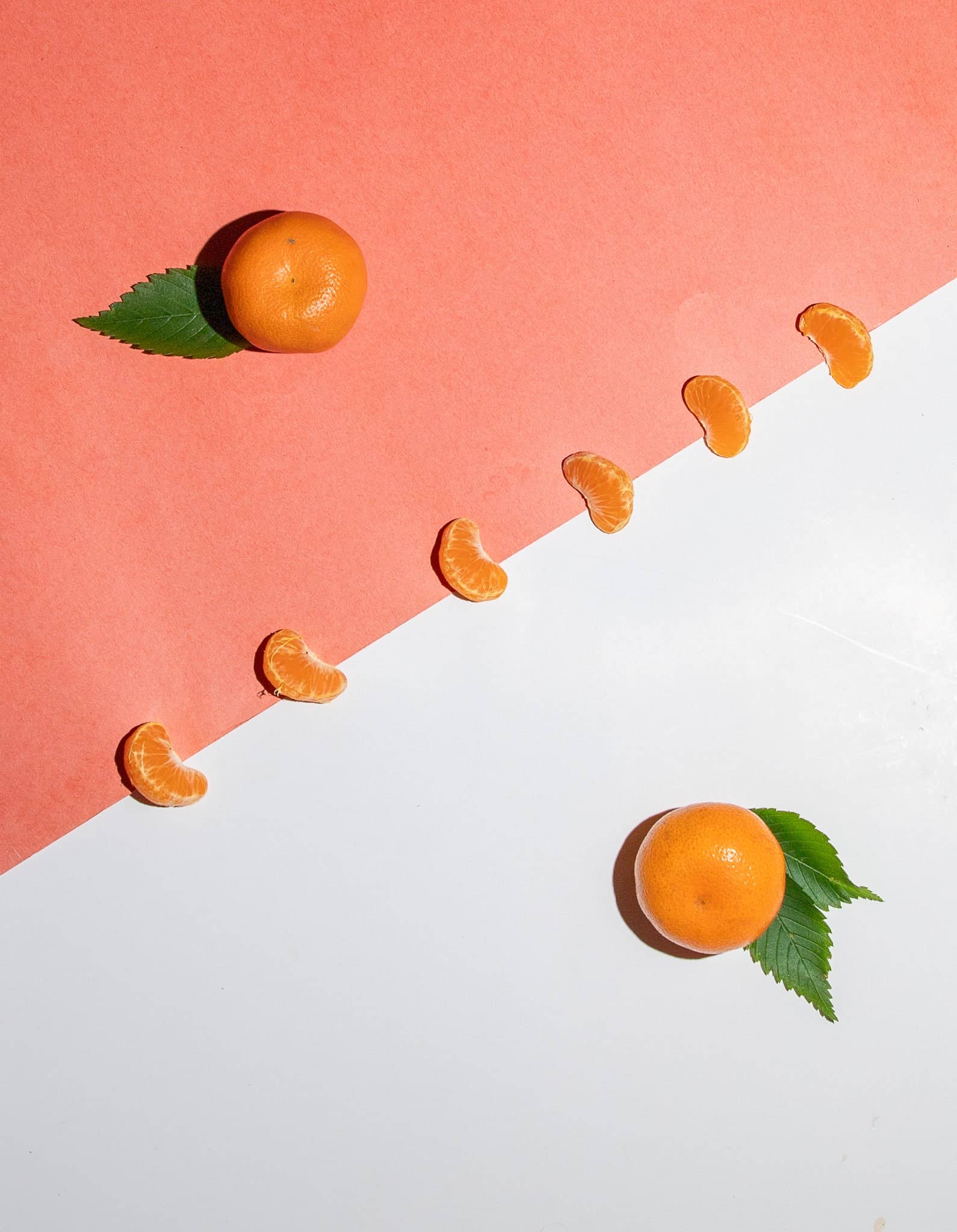 Rebels Refinery - Vente Baumes à lèvres - Baume à lèvres Double Clémentine Cactus3