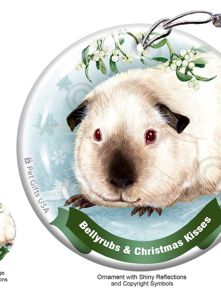 Cochon d'Inde, massage du ventre de l'Himalaya et baisers de Noël Orna... pour la vente par Pet Gifts USA, LLC