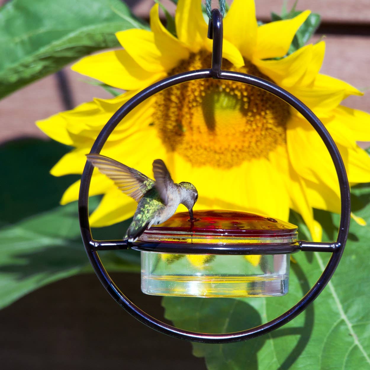 Couronne Co. - Wholesale Bird Feeder - Mosaic Birds Hummble Slim Hummingbird Feeder2