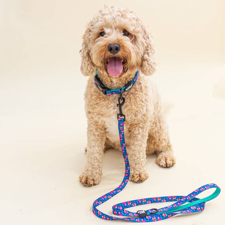 WYLD CUB - Vente Collier – chien - Flockin' Fabulous : Collier pour chien1