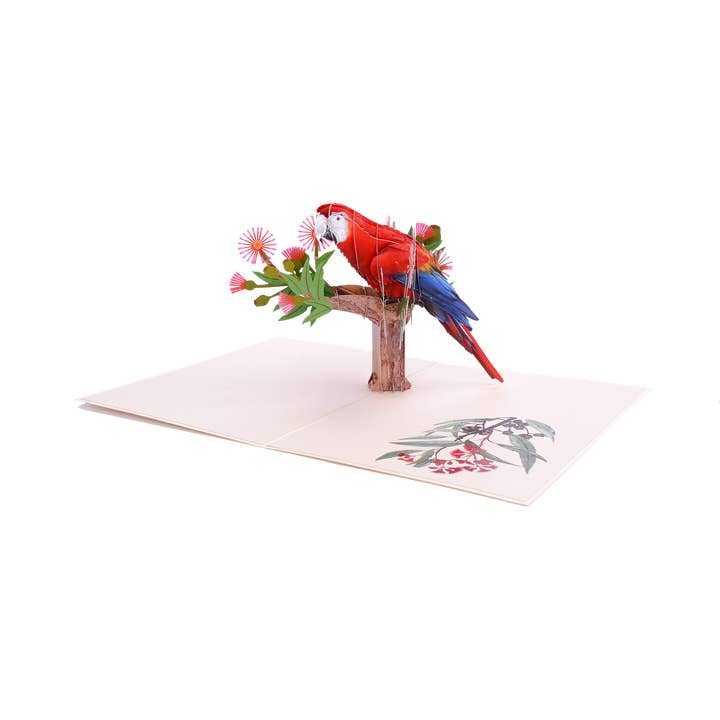 Parrot - 3D Pop Up Abra Card for wholesale by Abra Cards