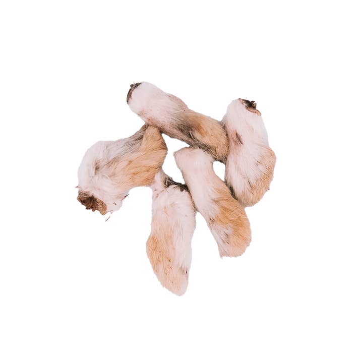 Wild n Fresh Treats - Wholesale Pet Treats - Dog - Dehydrated Rabbit Feet11