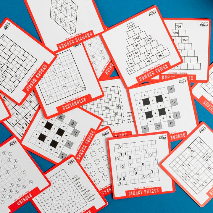 Professor Puzzle USA, Inc. - Wholesale Puzzle - Adult - Puzzle a Day 365 Brain Puzzles