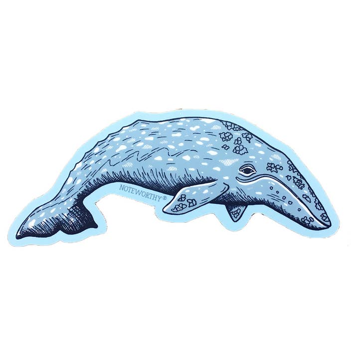 Gray Whale Sticker for wholesale by Noteworthy Paper & Press