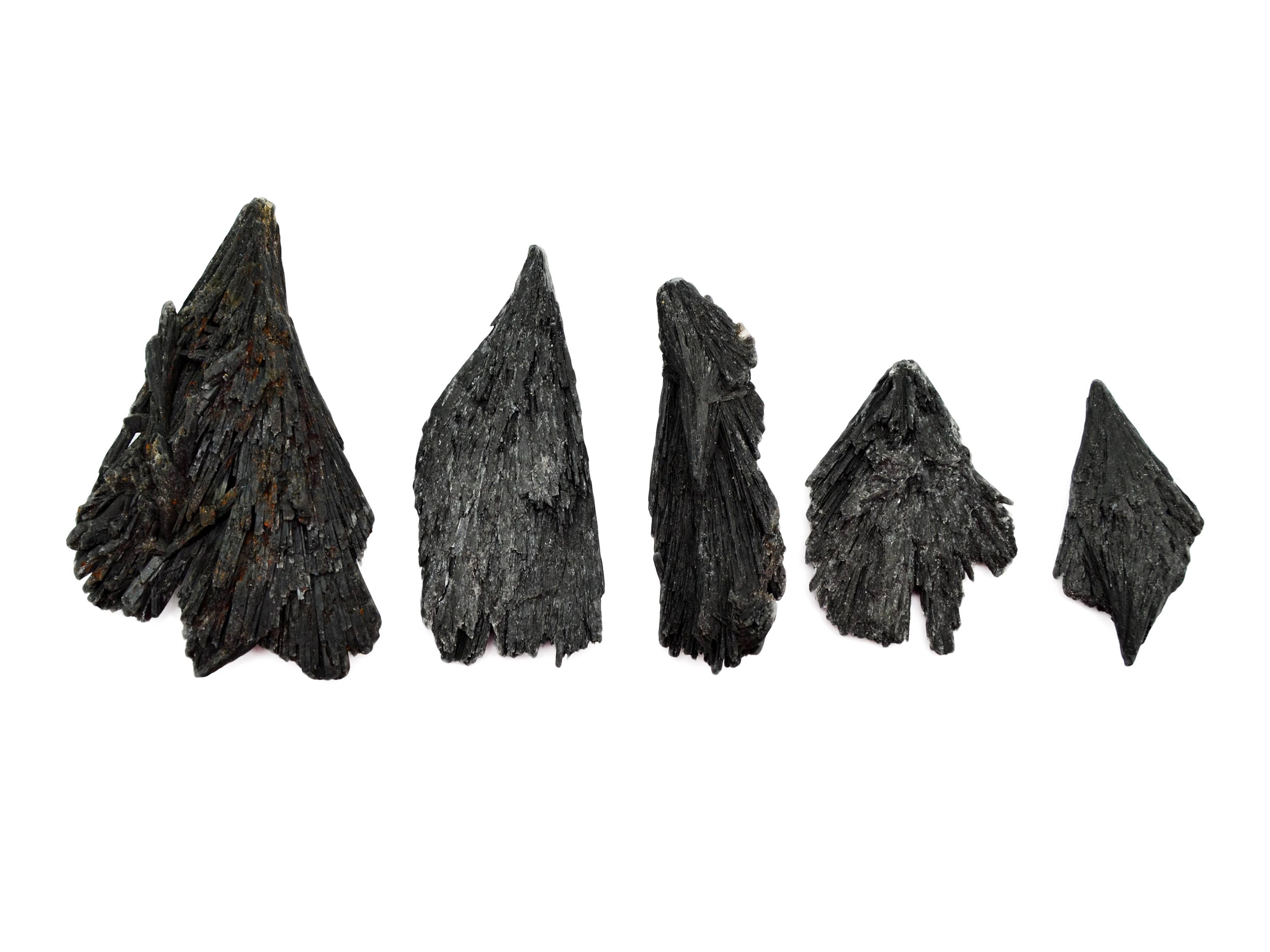 Kaia & Crystals – wholesale Spiritual stone/crystal – Raw Black Kyanite Witch's Broom (15g - 70g)2