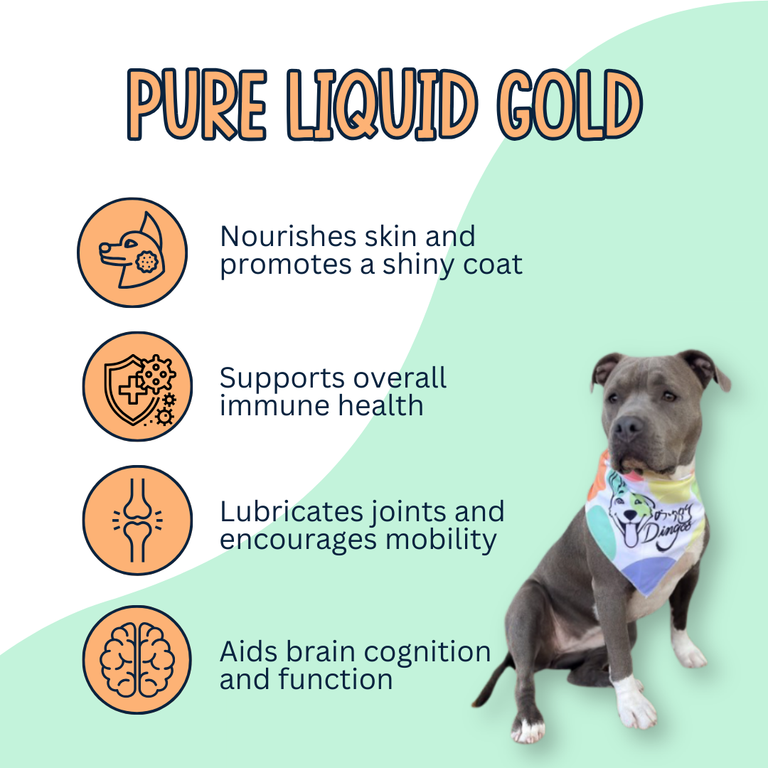 Happy Dingos - Wholesale Pet Supplement - Cat/Dog - Wild Alaskan Salmon Oil - 16oz Pump Bottle 2