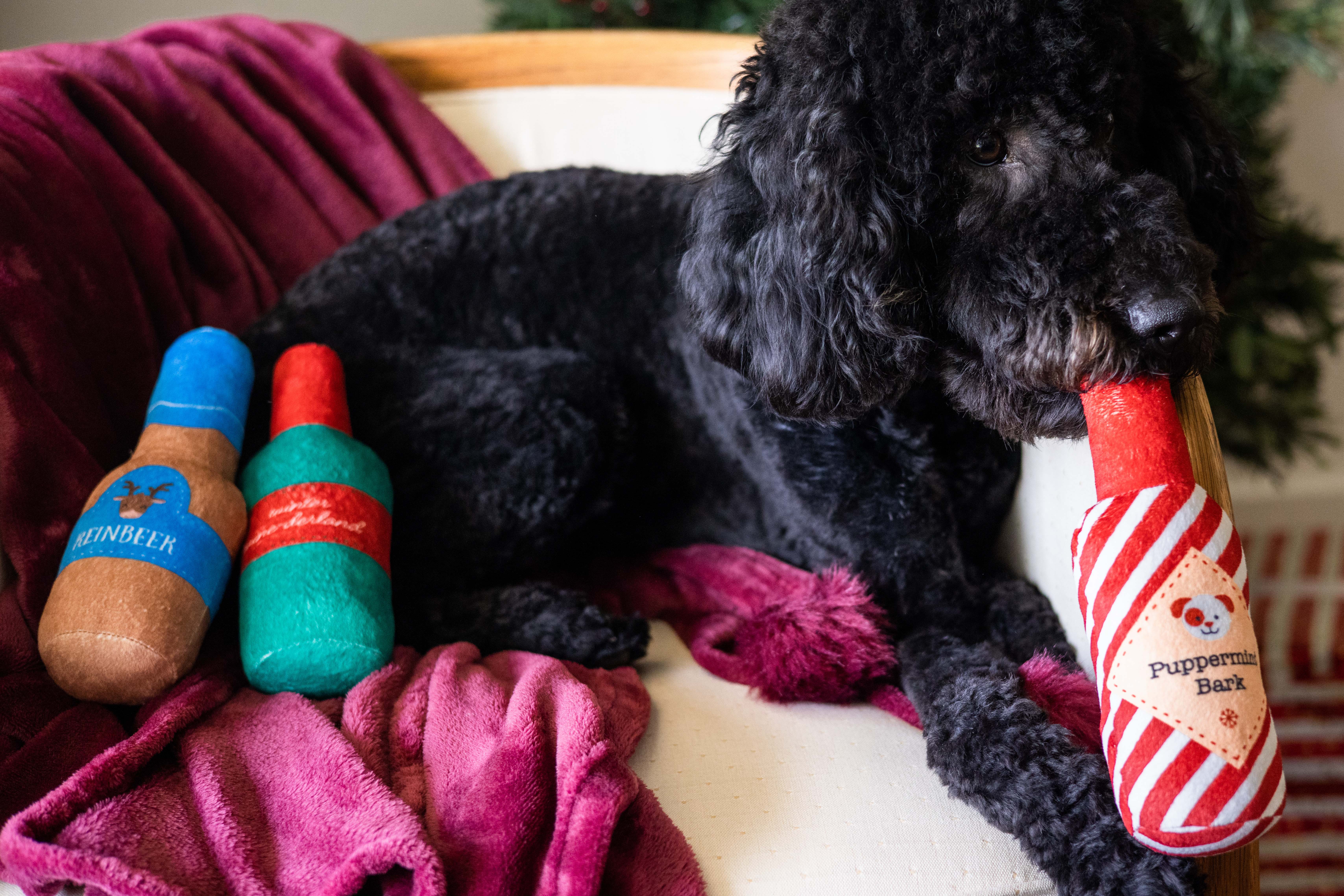 Pearhead - Wholesale Pet Plush Toy - Dog - Holiday Spirits Christmas Dog Toys, Set of 33