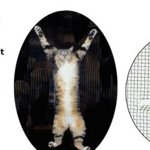 Screen Repair Patch Kit for Tears and Rips SR6 for wholesale by Luthier decals