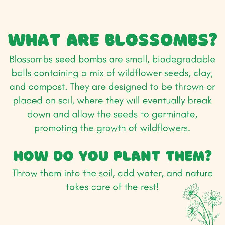 Buzzy, Inc. - Wholesale Plant Seeds - Blossombs Small Box - Dear Teacher- 7 Seed Bomb Balls