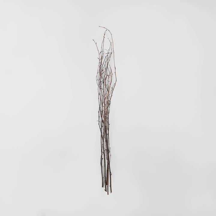 Dried Decor - Wholesale Dried/Pressed Flowers - Decorative Birch Branches | Natural Brown2