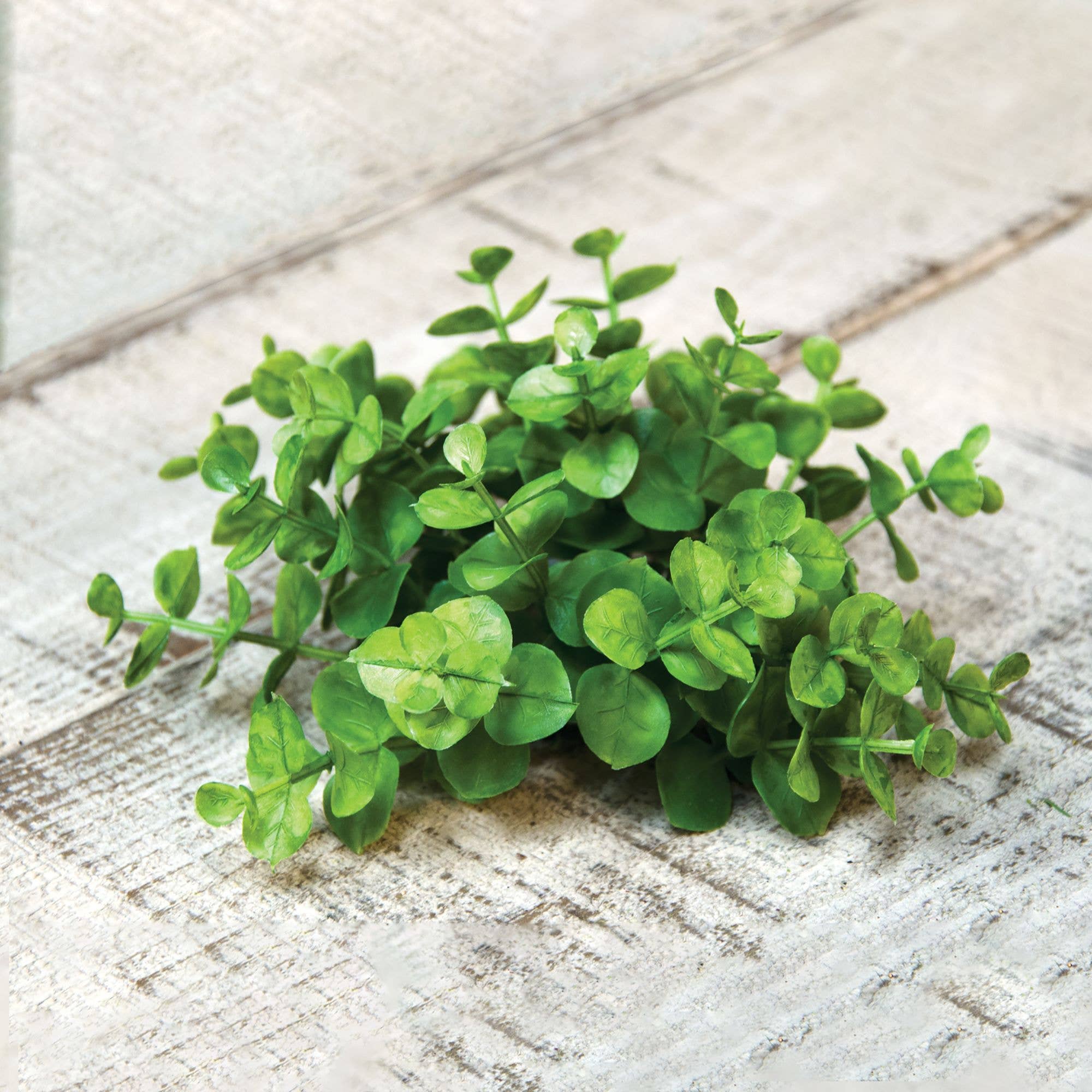 Saybrook Lane - Wholesale Wreath - Eucalyptus Candle Ring1