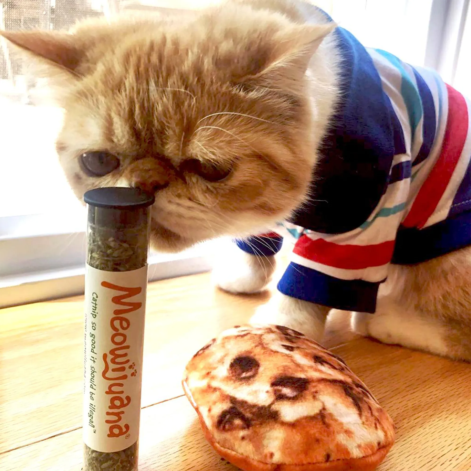 SmarterPaw | Meowijuana & Doggijuana – wholesale Leksak - Katt – Meowijuana® Get Baked Cookie Påfyllningsbar Kattleksak9