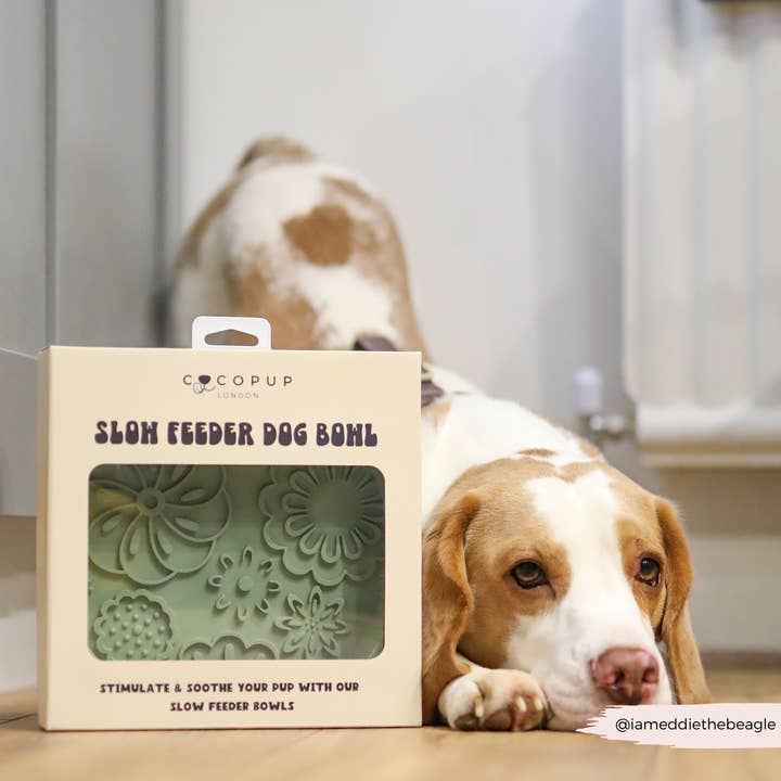 Cocopup London - Wholesale Pet Bowl - Dog - Silicone Slow Feed Dog Bowl - Sage Flowers6