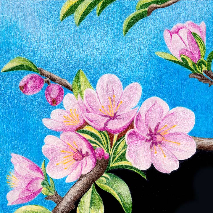 Apple Blossoms Floral Art Print for wholesale by Greene Sun Art