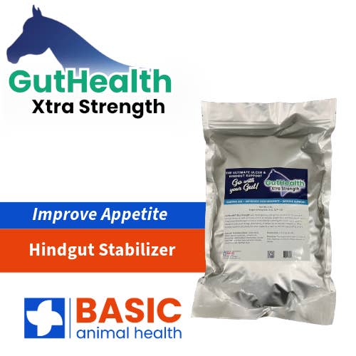 GutHealth Xtra Strength Pellets Supplement for Horses for wholesale by Basic Animal Health