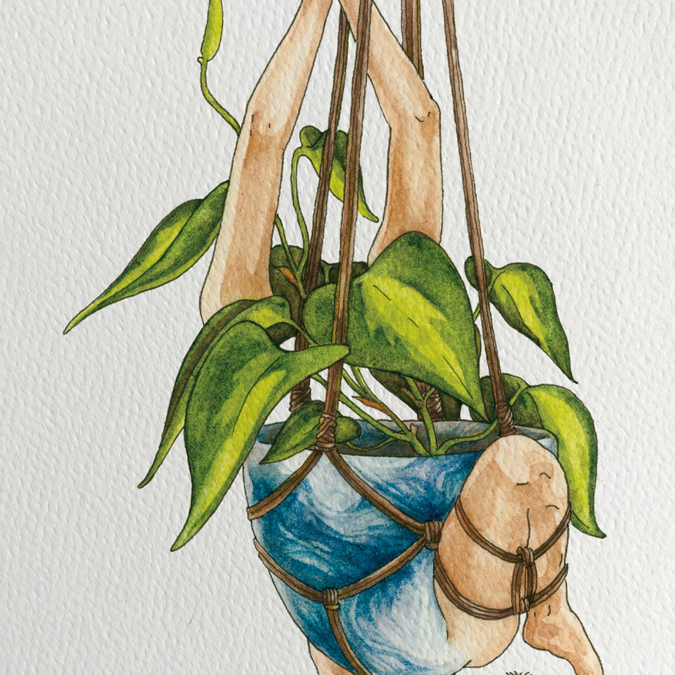 Maridad Studio - Wholesale Art Print - Hanging Plant Shibari Art Print1
