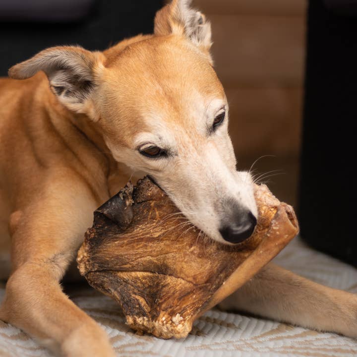 Kivo Petfood - Wholesale Pet Treats - Dog - Dog Snack - Cowhide Plate - 1 piece2