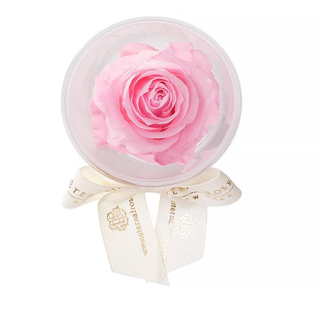 Eternal Roses® - Wholesale Party Favor - Eternal Rose Party Favors5
