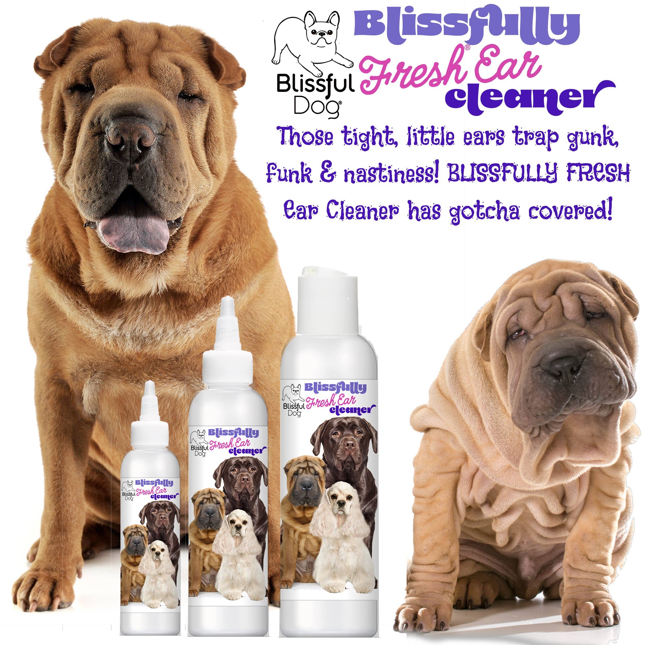 The Blissful Dog - Wholesale Pet Cleaning Supplies - Blissfully Fresh Dog Ear Cleaner in 4, 8, 16 oz8