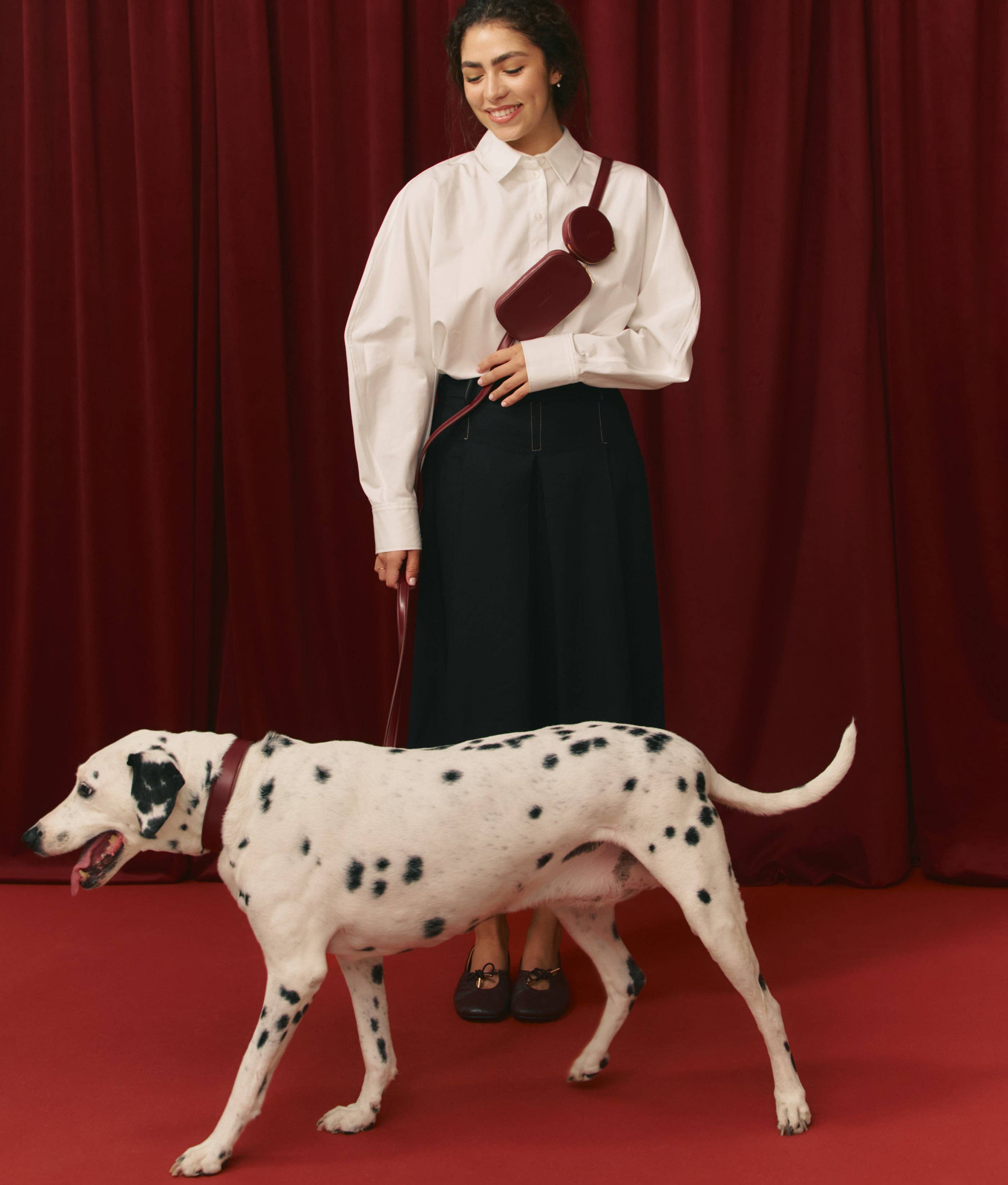 CAFIDE - Wholesale Pet Collar - Dog - Bordeaux Vegan Leather Collar, Jala2