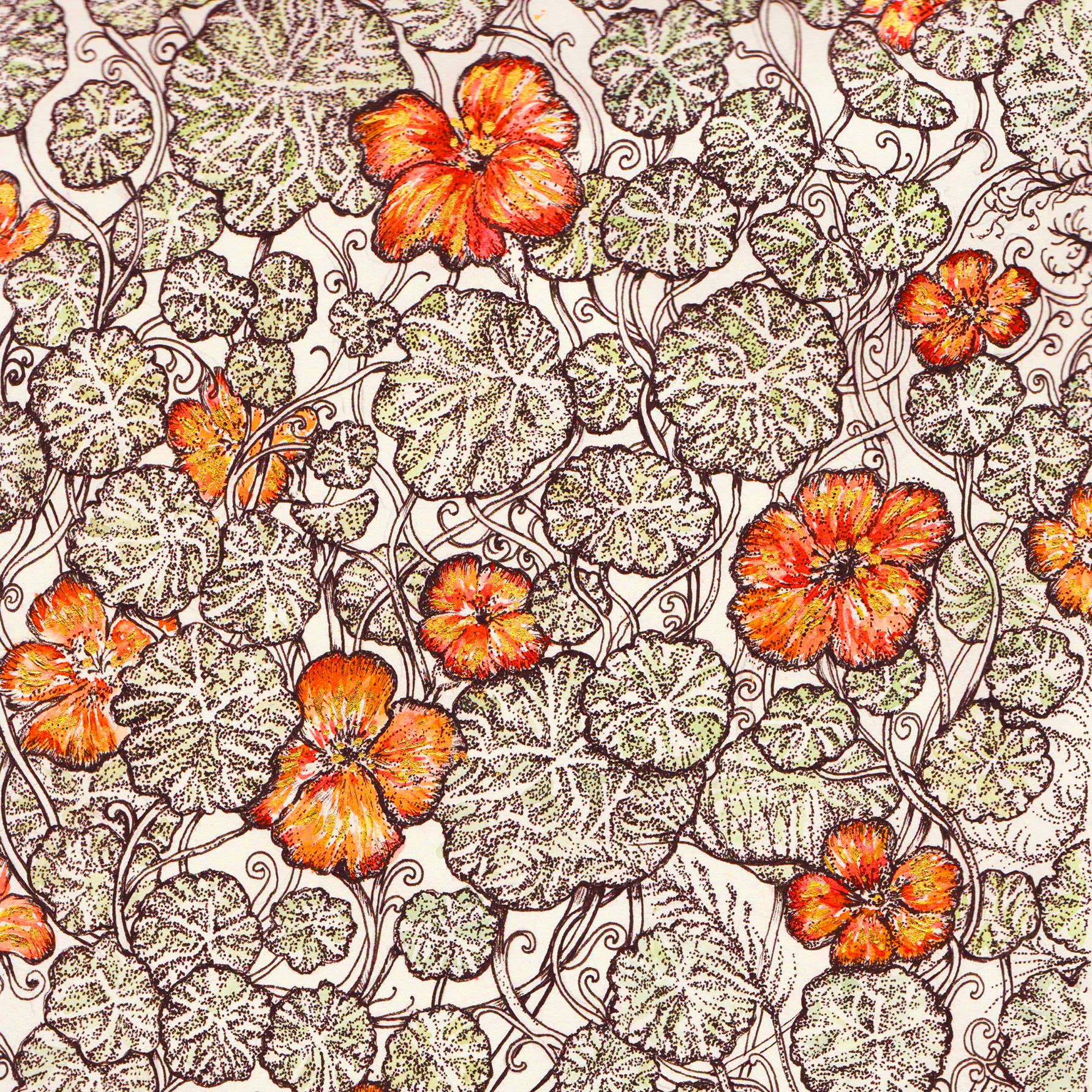 Fay's Studio - Wholesale Everyday Greeting Card - Nasturtium Salad Greeting Card1