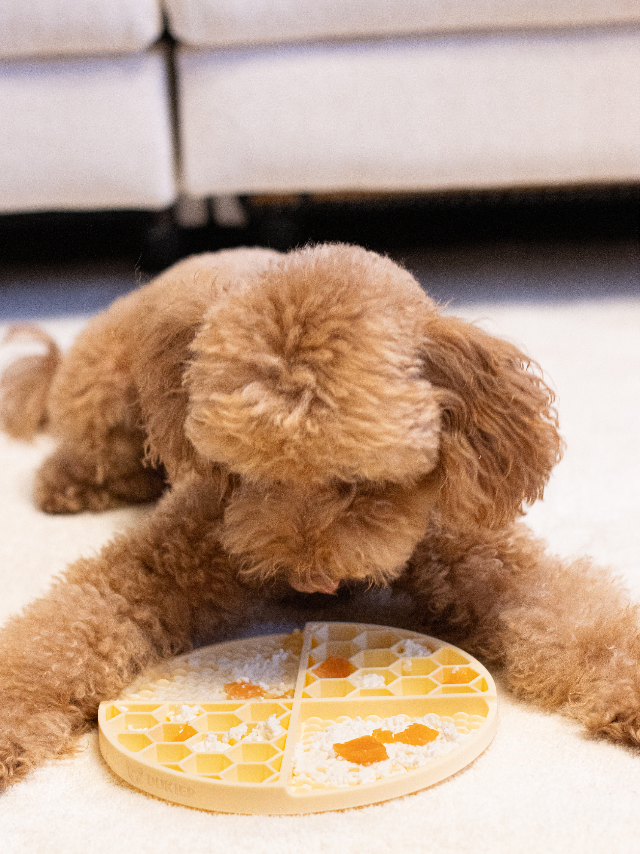 Dukier - Wholesale Pet Food Mat - Dog - YELLOW DOG LICK MAT4