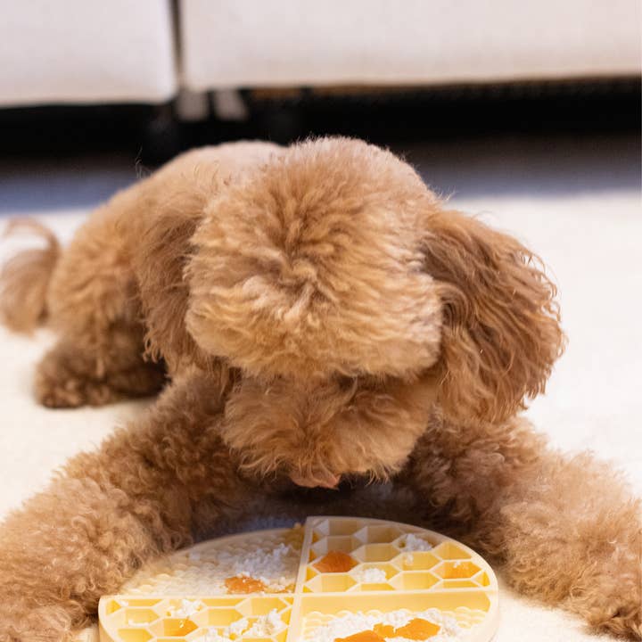 Dukier - Vendita all'ingrosso Tappetino sottociotola per animali - Cane - TAPPETINO LICK PER CANI GIALLO4