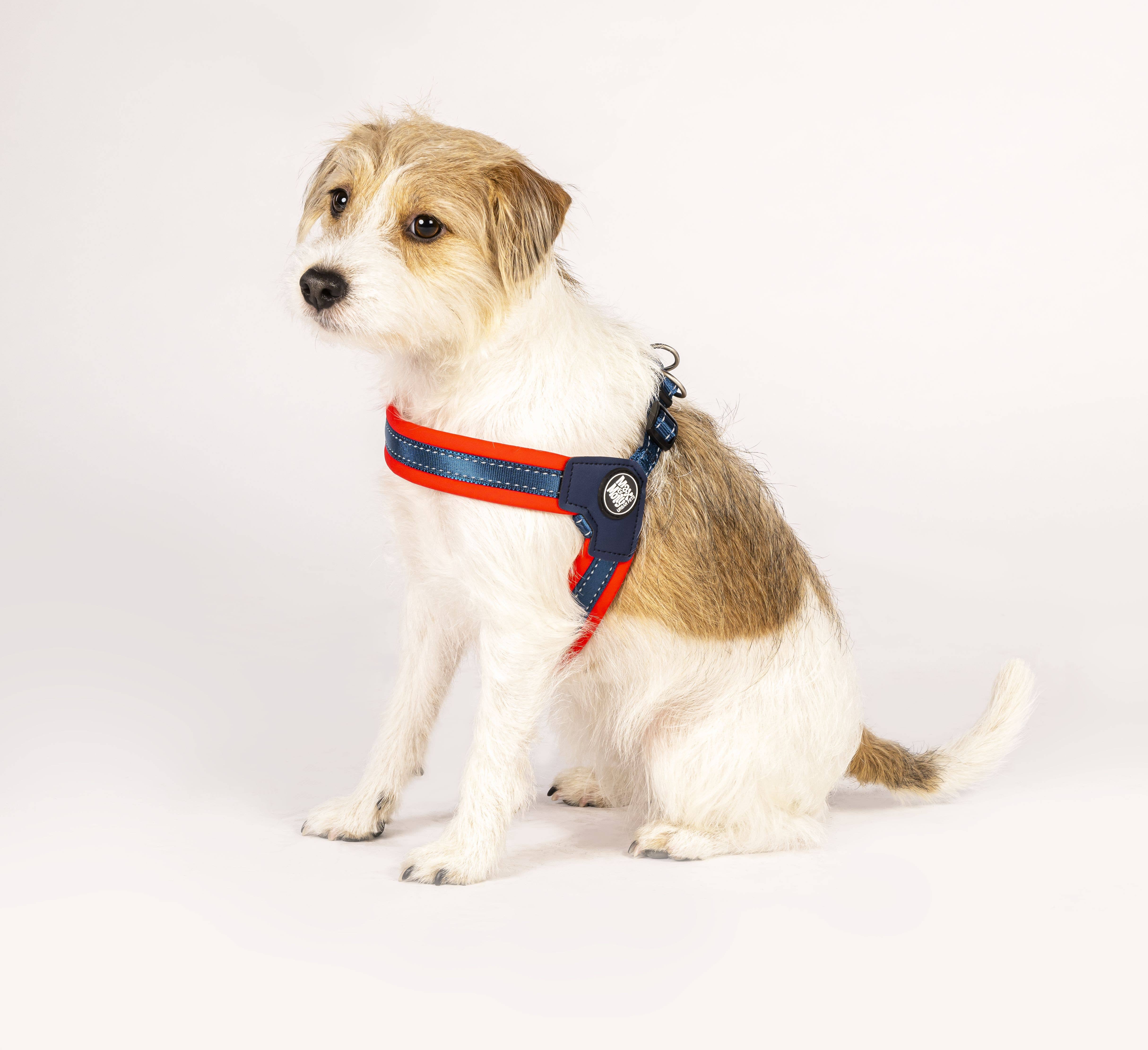 Max & Molly - Wholesale Pet Harness - Dog - Q-Fit Dog Harness Red4