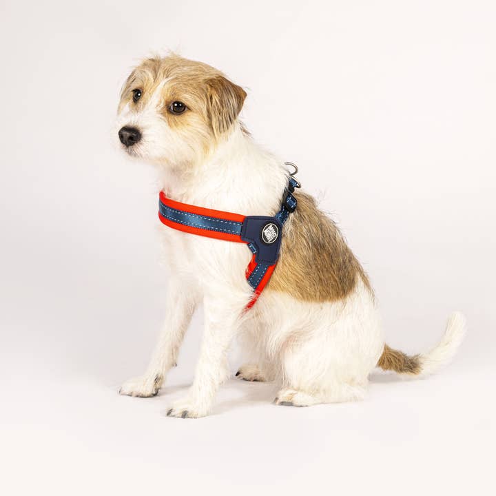 Max & Molly – wholesale Pet harness – Dog – Q-Fit Dog Harness Red4